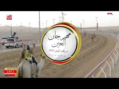 ش 8 (زعفران) لـ عبدالله سالم بن حزيم الفلاسي 6:32:01 ، مهرجان العين 2026/08/09 زمول الروضة