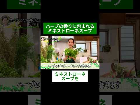医療ビジネス薬科学科 🌿ハーブの香りに包まれるミネストローネスープ🌿#shorts #ハーブ #体質改善 #イタリアンパセリ #シナモン #ローズマリー #タイム
