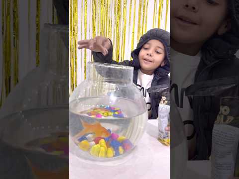 Heera ka aquarium kon le gaya #vivaanandtanya