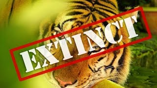 8 Animals That May Not Survive 2016