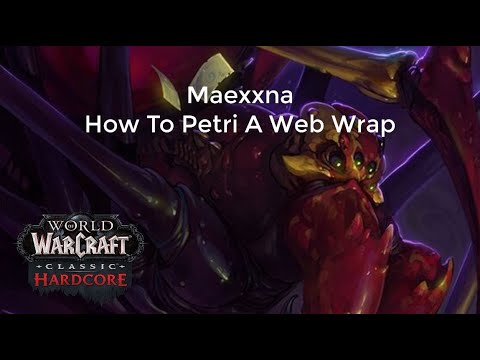 HC WoW - Maexxna How To Petri The Web Spray