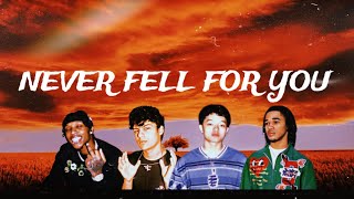 Cover art for Never Fell For You