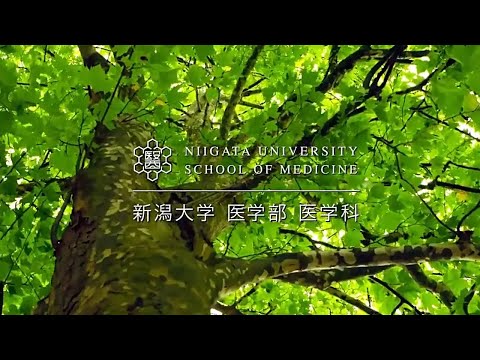 医学科 新潟大学医学部医学科プロモーションビデオ