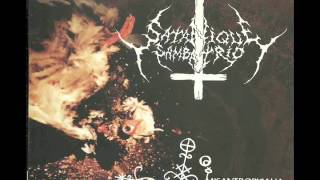 Satanique Samba Trio - Misantropicalia (2004)