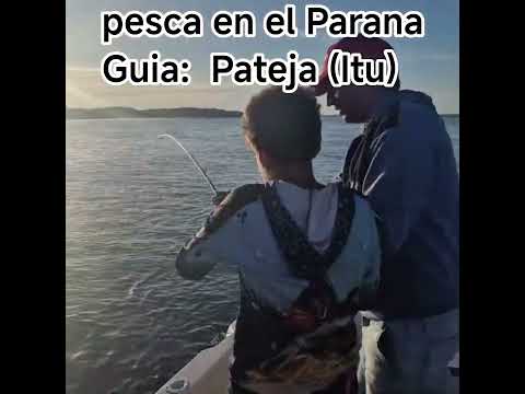 Pesca nocturna y diurna en el Parana. con el Guia Pateja.Ituzaingo Corrientes