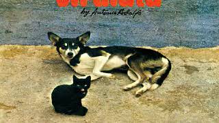 Antonio Adolfo Diana E Paulo