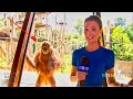 Funniest Animals News Bloopers Of All Time