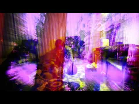 Buchla music easel live jam