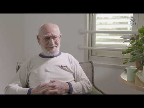 אריה שרייבר