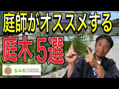 庭に最適な針葉樹5本 トピックス