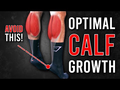What are the BEST CALF Exercises? (Science Explained)