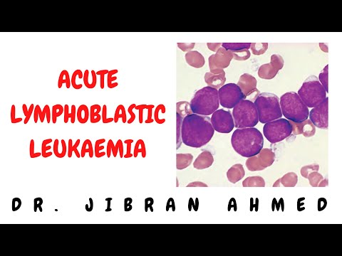 NORMAL HEMATOPOESIS II HEMATOLOGY II ROBBINS 10TH E II DrJIBRANAHMED