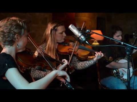 The Happy Cats Travelling Sesssions - Just One Night