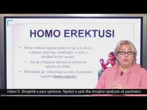 Histori 5 - Shoqëritë e para njerëzore. Njerëzit e parë dhe shoqëria njerëzore në parahistori.