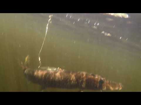 Rusty Myers - Fishing in Canada