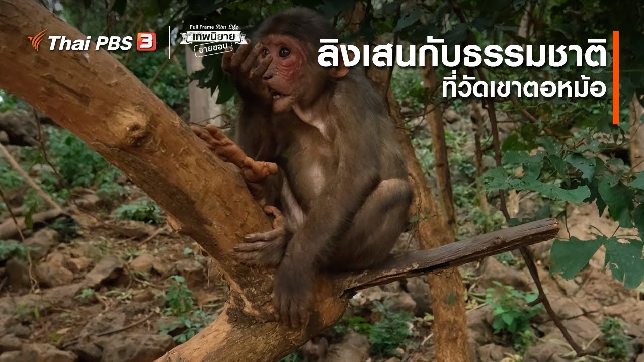 เขาตอหม้อ