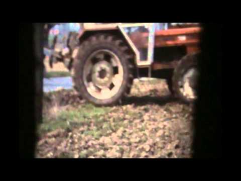 Loonw. Persyn-Steelant - Elverdinge