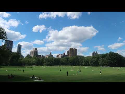 New York City - Views in Central Park | Jazz Music for Relax and Study