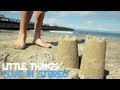 The Little Things-Plug In Stereo 