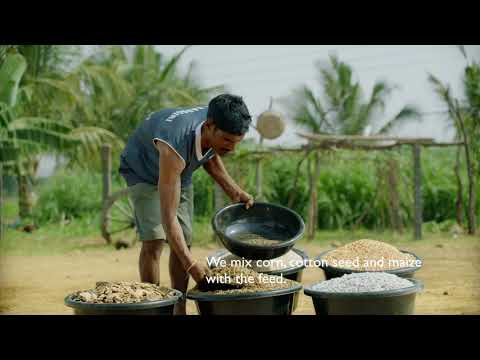 Arokya Yadagiri subtitle corrected