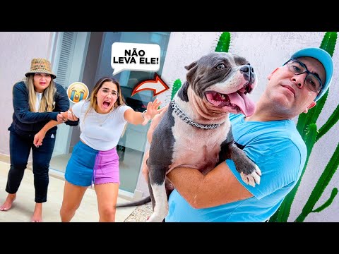 NOSSO CACHORRO ZAION VAI EMBORA PARA SEMPRE 😭😭😭