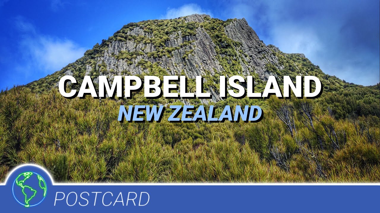 What is the population of Campbell Island?