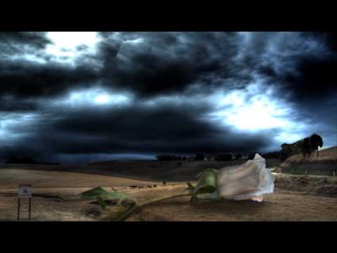 Mysterious fallen rose found in Australia. ET origin?