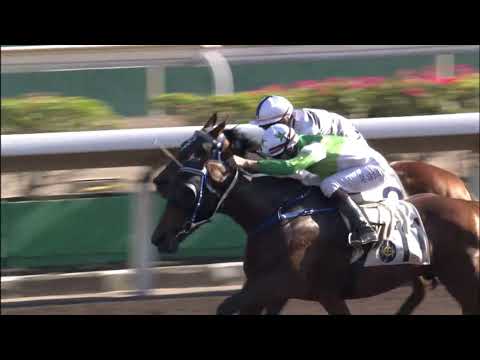 26/12/2020 (300) Double Take -  J Moreira  (Moreira 4 W)