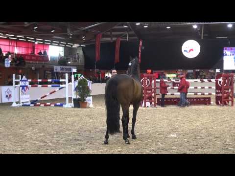 Quite Easy (webstallions.com)