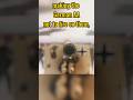 The Emotional Incident Of Charlie Brown And Franz Stigler Video Credit Yarnhub