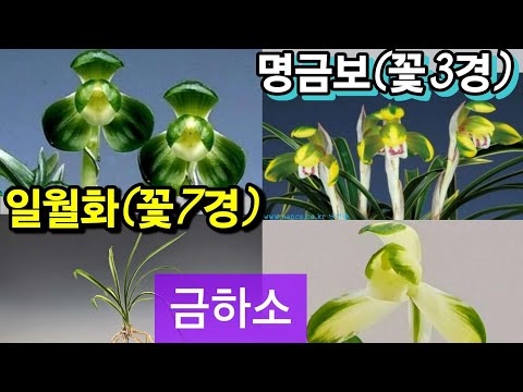 유튜브 썸네일