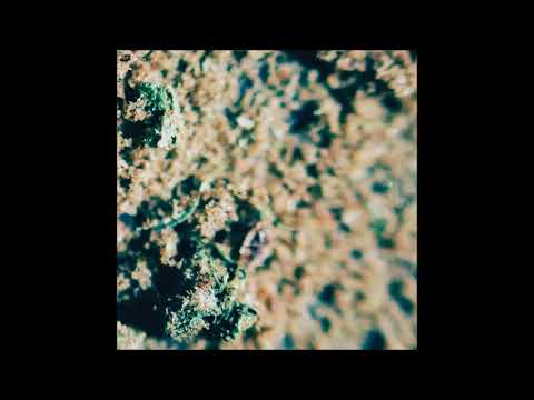 GREENGO - Dabstep [FULL ALBUM] 2018