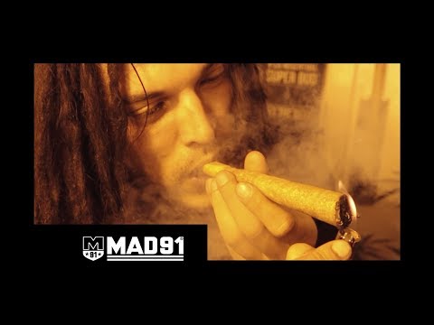 Baino Di Lion - Ganja (prod. Positive Vibz) · VÍDEO OFICIAL