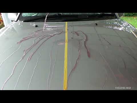 Soft 99 Fusso Coat 12 Months Light Color Wax / Polish - 200g