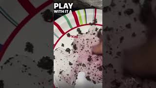 Be careful of the things  U smoke. People be out here painting their marijuana with food coloring👿