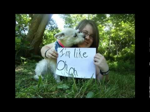 Faber Drive - Candy Store ft Ish (OFFICIAL LYRIC VIDEO)