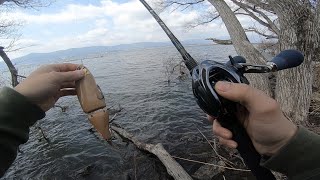【3月下旬】めちゃくそ雰囲気あるとこでk9投げたら巨バスに襲撃された！！