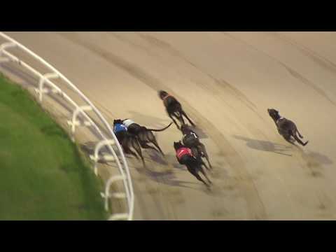 2017 DERBY BRITISH BRED - HEAT 1 - T5 LOWGATE MALFOY