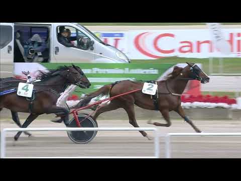 Napoli Trotto 01/05/2023 - 8ª corsa - 74° G.P. Lotteria Finale