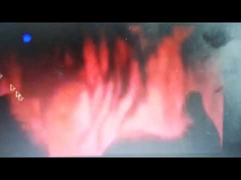 Dogmanladdin part. 11 the narrow escape