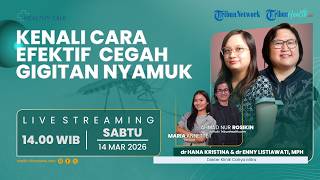 HEALTHY TALK - Hujan, Banjir, dan Demam Berdarah Dengue: Kenali Cara Efektif Cegah Gigitan Nyamuk