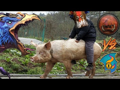 Unleash PIGS, SQUIGS & THE CHICKEN | Greenskins vs Tzeentch - Total War Warhammer 3