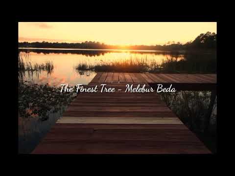 Melebur Beda (Karaoke / No Vocal) - The Finest Tree