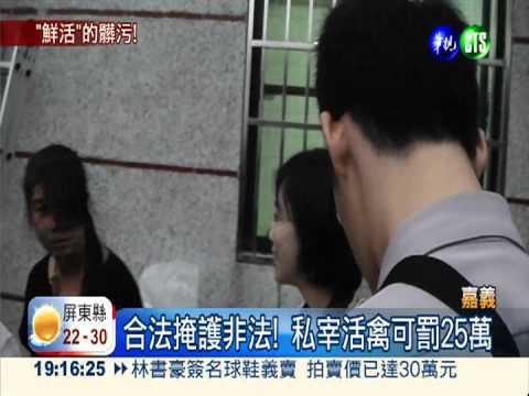 嘉義查獲非法屠宰場 負責人遭逮