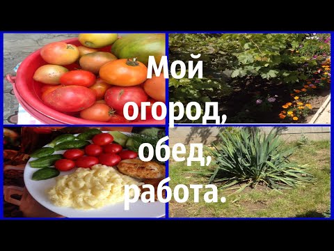 Я дома, что с огородом, обед и работа.