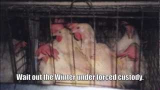 The Agonist - Waiting Out the Winter Fanvid