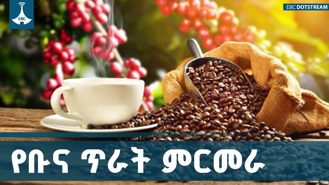 የኢትዮጵያ ቡናና ሻይ ባለሥልጣን የቡና ጥራት ምርመራና ሰርተፍኬት ማዕከል ቅኝት | Ethio