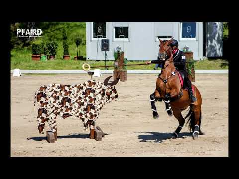 Working Equitation - Bilder der EM 2016