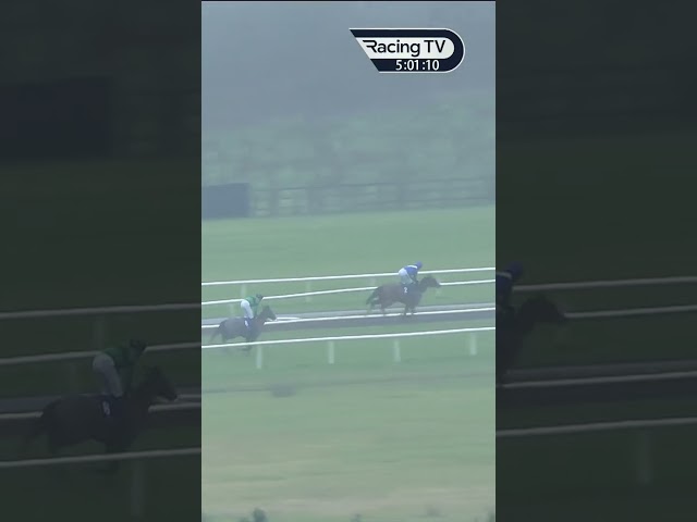 Thumbnail for Post ID: YLyHVnxhfJo