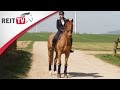 Homestory Visiting REITTV Team Rider Judith Kemper